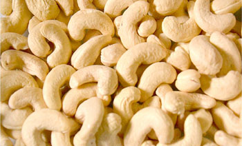 Cashew Nuts