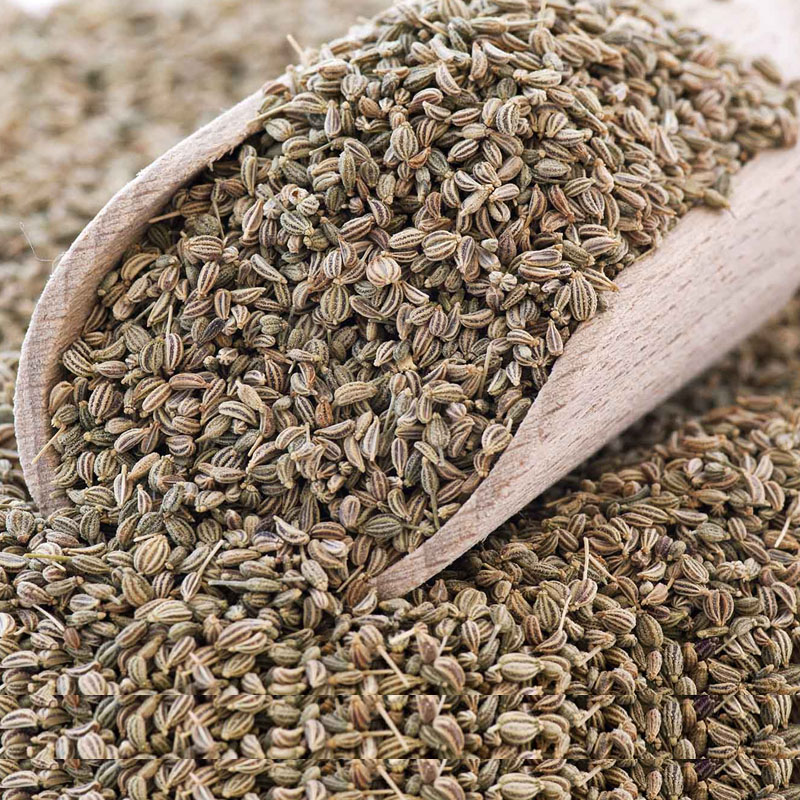 Celery Seeds Manufacturer,Exporter,Supplier in India Celery Seeds Manufacturer,Exporter,Supplier in India