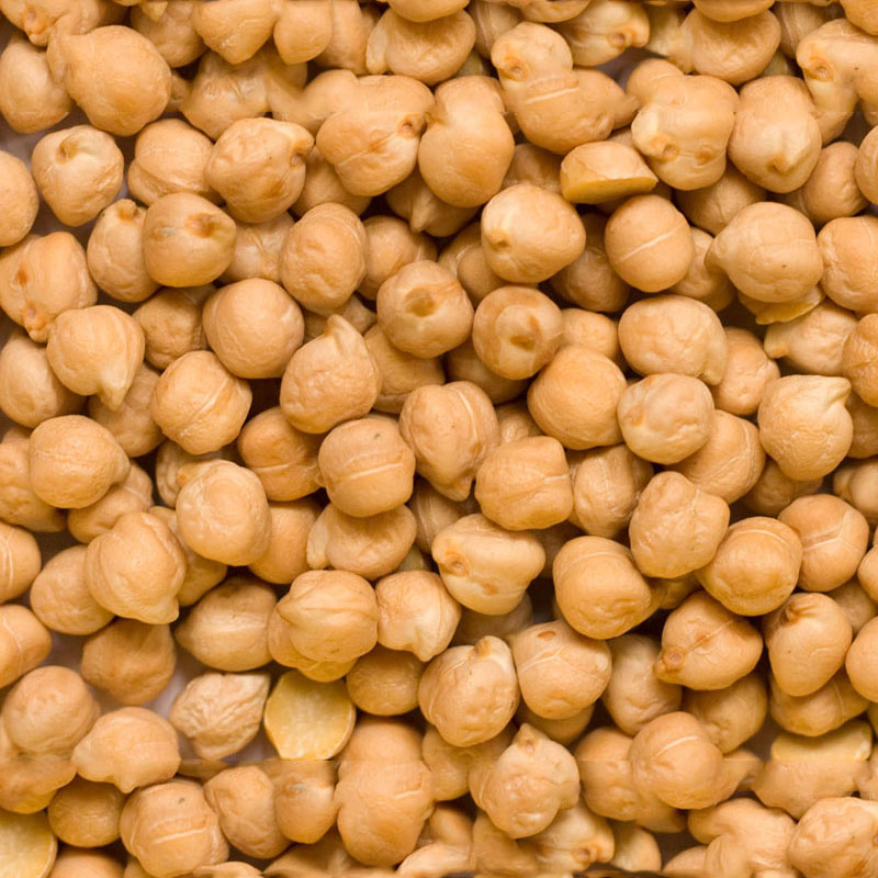 Chick Peas Manufacturer,Exporter,Supplier in India Chick Peas Manufacturer,Exporter,Supplier in India