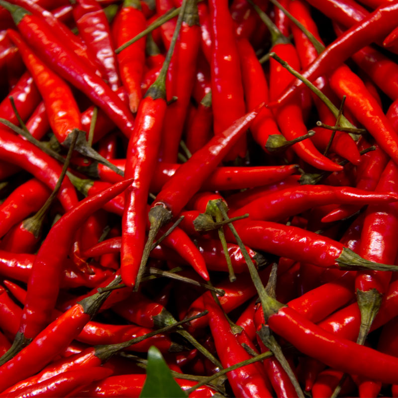 Red Chillies Manufacturer,Exporter and Supplier in India