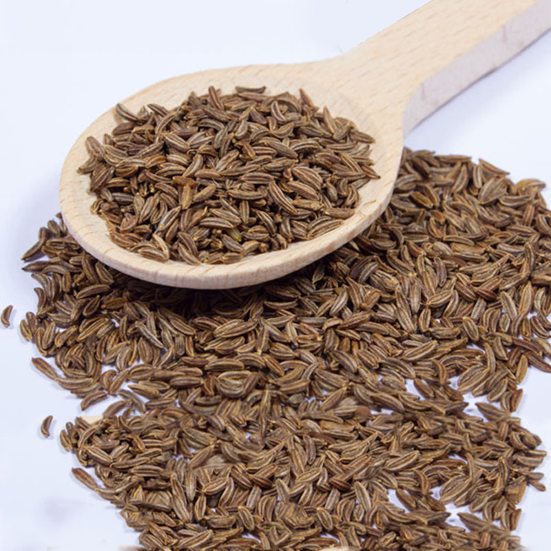 Cumin Seeds(Jeera) Manufacturer,Exporter,Supplier in India