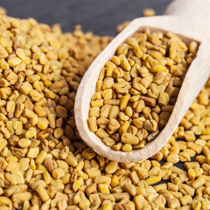 Fenugreek Seeds Manufacturer,Exporter,Supplier in India