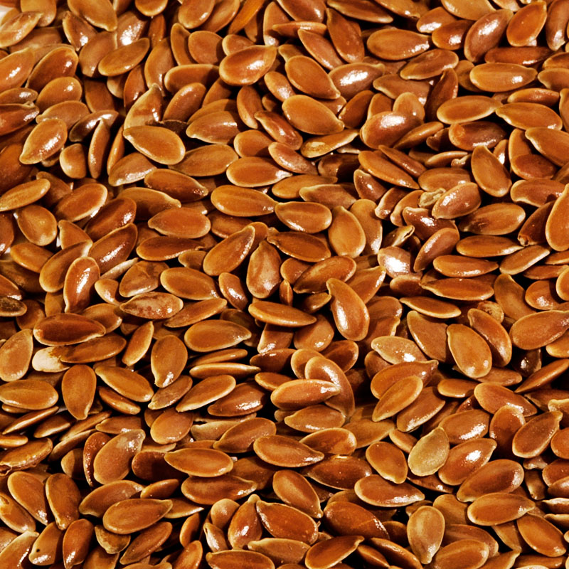 Flax Seeds(Linseed) Manufacturer,Exporter,Supplier in India