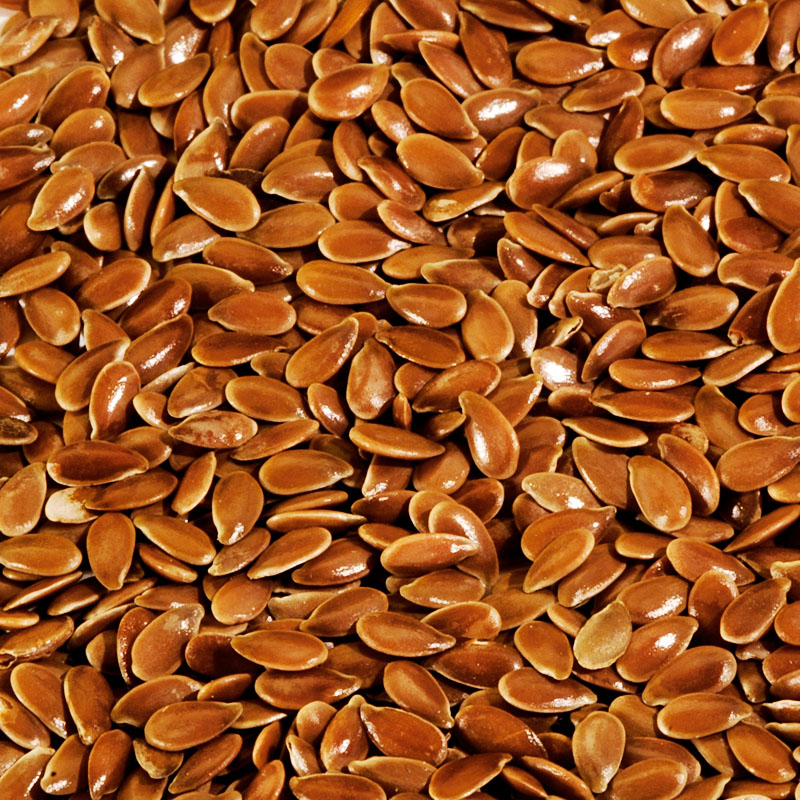 Flax Seeds(Linseed) Manufacturer,Exporter,Supplier in India Flax Seeds(Linseed) Manufacturer,Exporter,Supplier in India