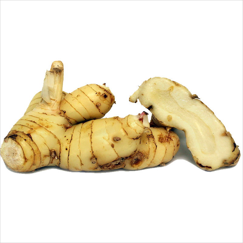 Galangal(Ginger)Roots Manufacturer,Exporter,Supplier in India
