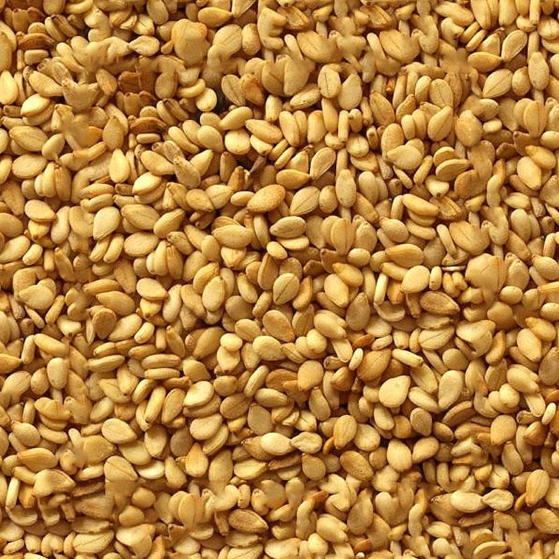 golden sesame seeds exporter stockist