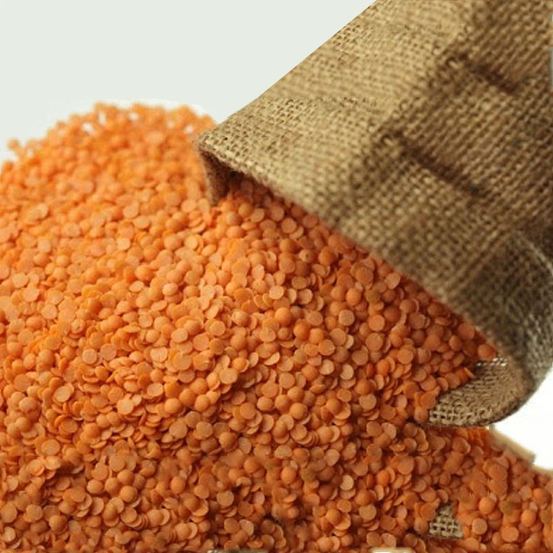 Masoor Dal Manufacturer,Exporter,Supplier in India