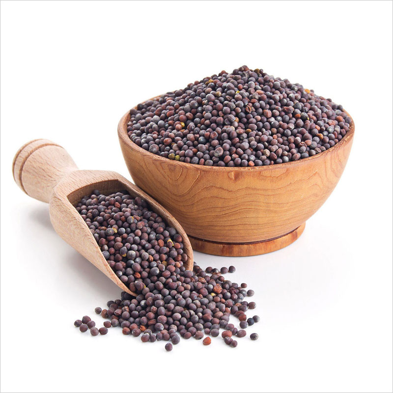 Mustard Seeds Manufacturer,Exporter,Supplier in India