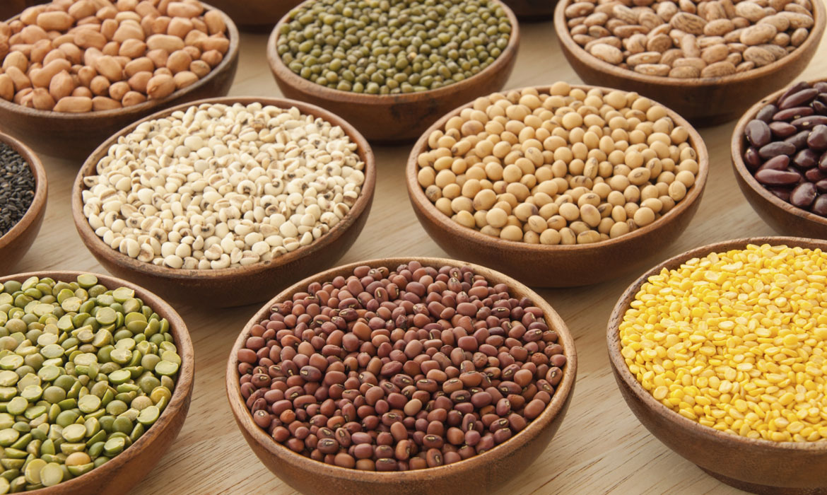 Chick Peas Manufacturer,Exporter,Supplier in India