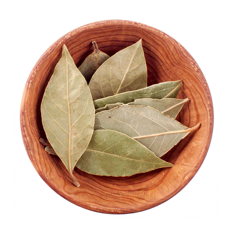 Tejpatta Leaves Manufacturer,Exporter,Supplier in India
