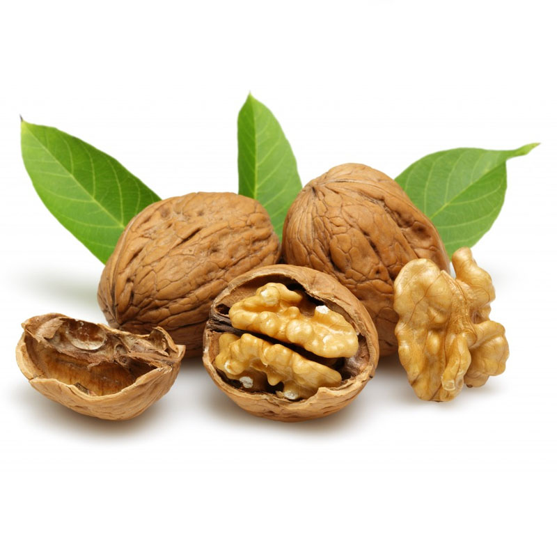 walnuts exporter stockist