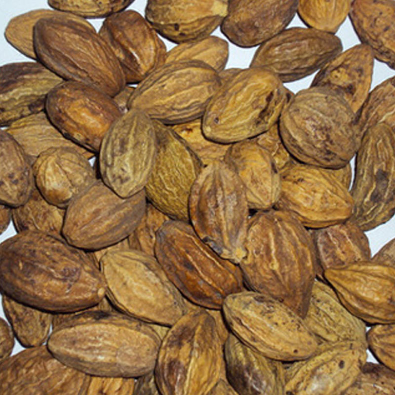 Yellow Myrabolan Manufacturer,Exporter,Supplier in India Yellow Myrabolan Manufacturer,Exporter,Supplier in India